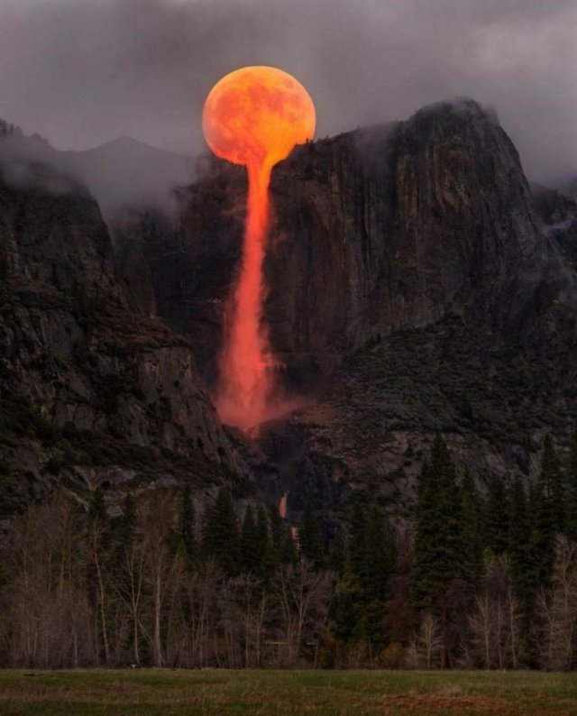 No Words Needed For These Pictures (44 pics)