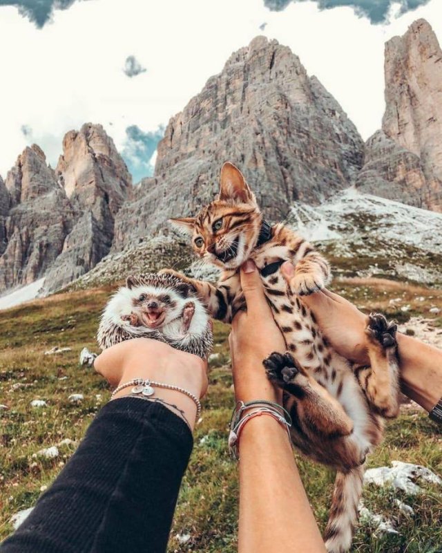 No Words Needed For These Pictures (44 pics)