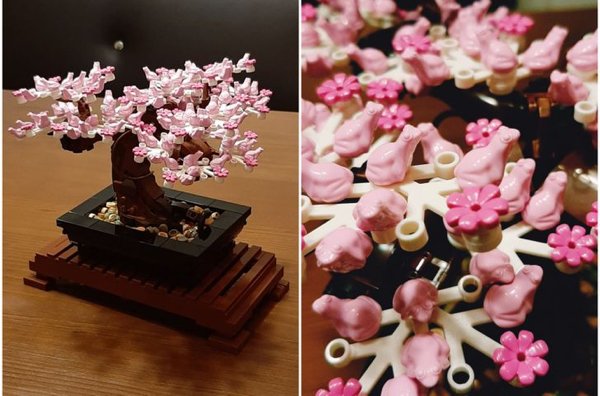 Awesome Things (19 pics)