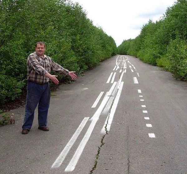 Almost Nailed It (19 pics)