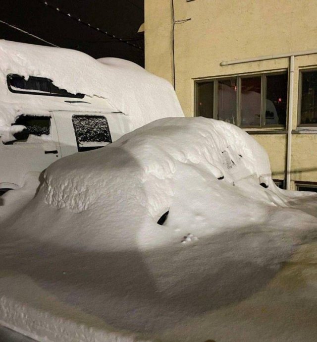 Acid Picdump 1 (90 pics)