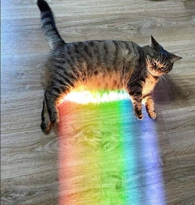 Acid Picdump 1 (90 pics)