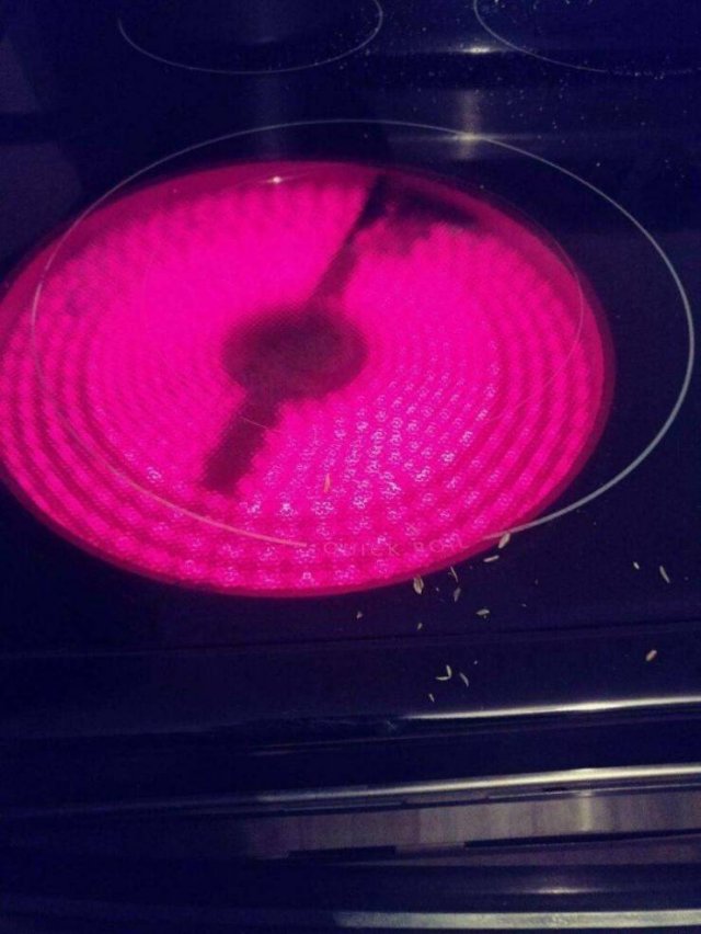 Acid Picdump 1 (90 pics)