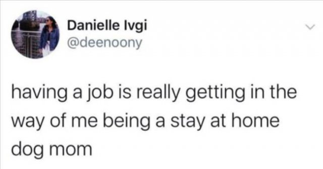 Funny Tweets (76 pics)