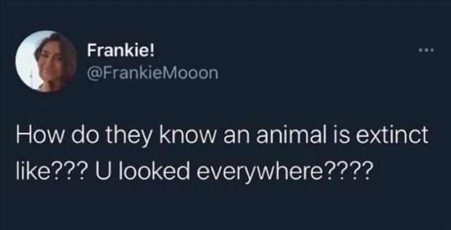 Funny Tweets (76 pics)