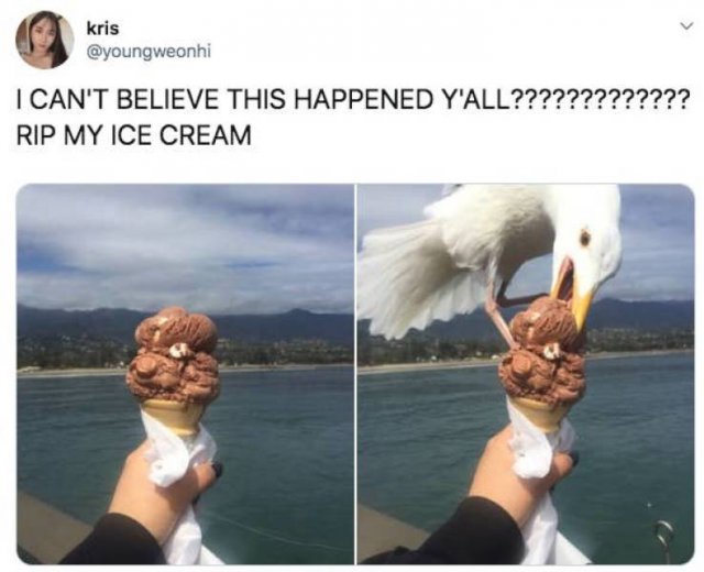 Bad Days Happen (40 pics)