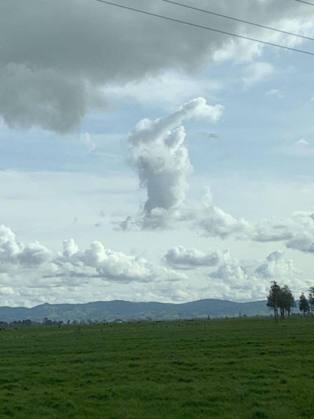 Acid Picdump 2 (94 pics)