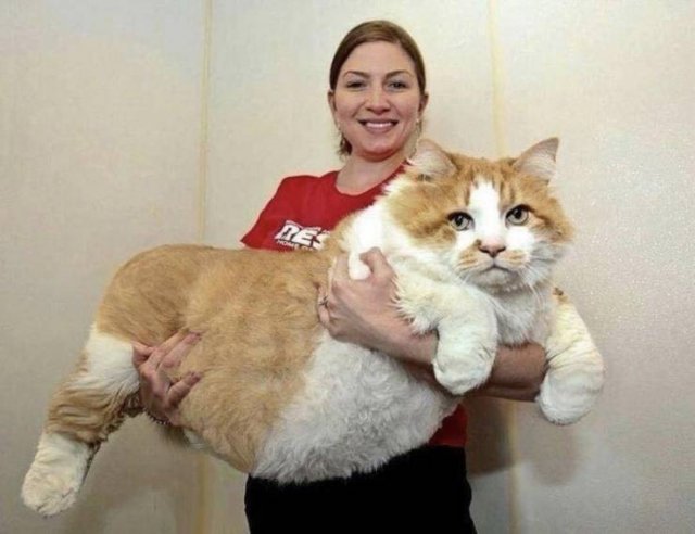 Acid Picdump 2 (94 pics)