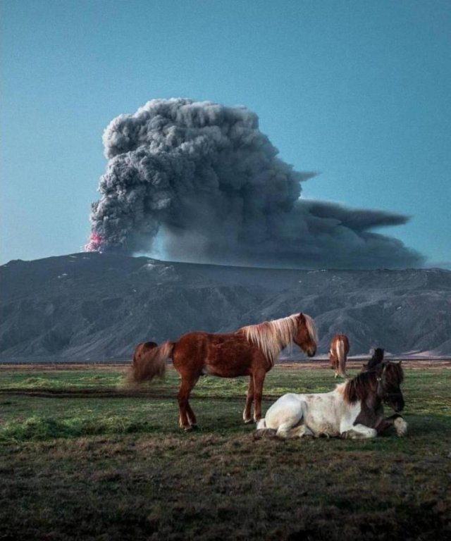 Acid Picdump 2 (94 pics)