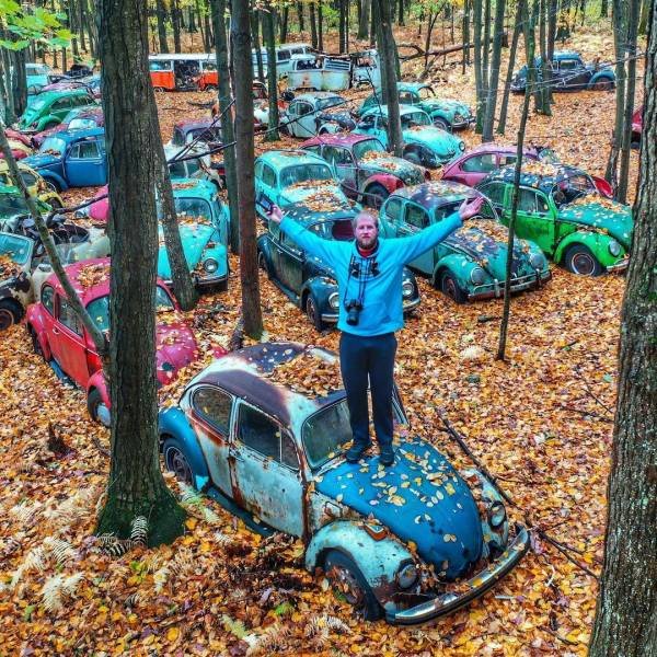 Acid Picdump 2 (94 pics)