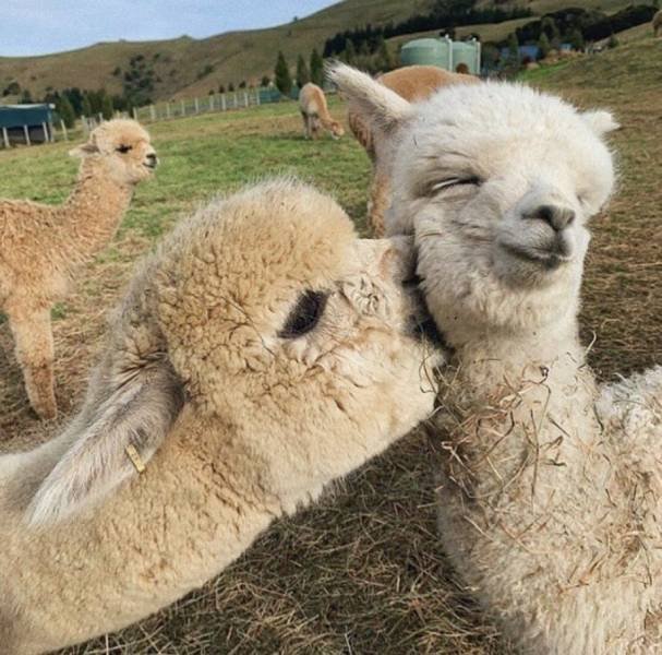 Acid Picdump 2 (94 pics)