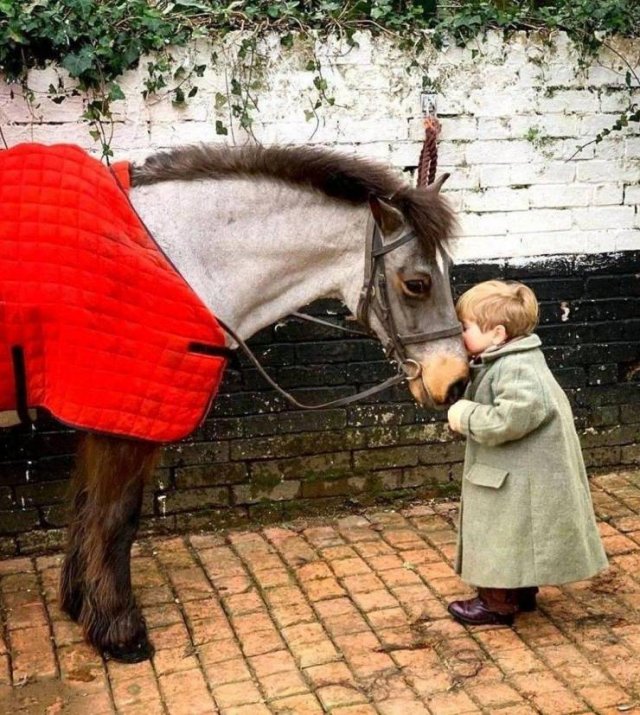 Acid Picdump 2 (94 pics)