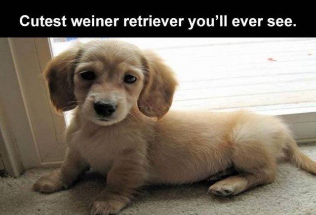 Random Funny Memes (124 pics)