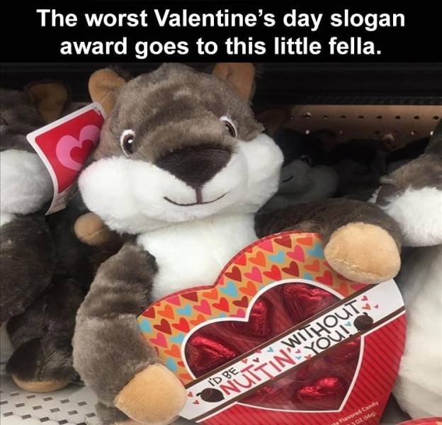Random Funny Memes (124 pics)