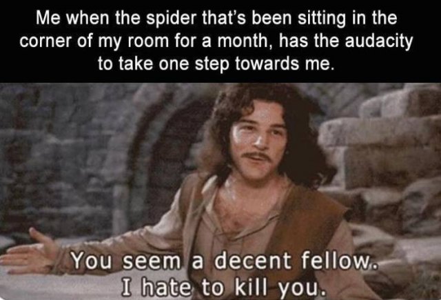 Random Funny Memes (124 pics)
