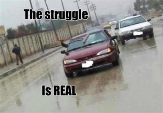 Random Funny Memes (124 pics)