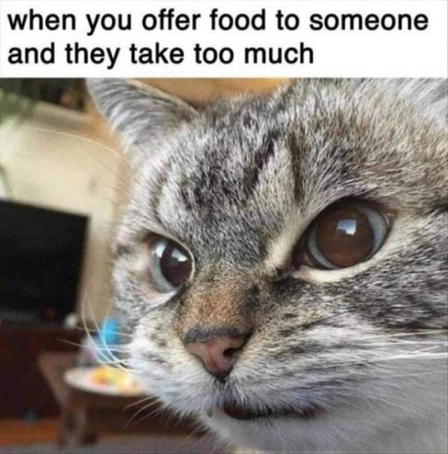 Random Funny Memes (124 pics)