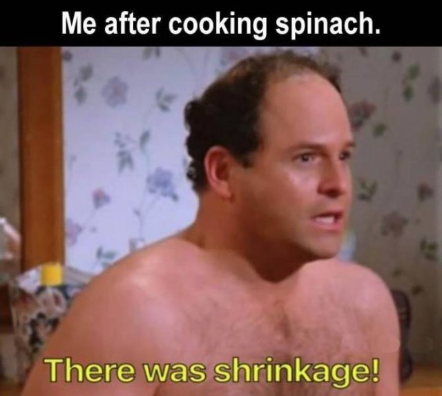 Random Funny Memes (124 pics)