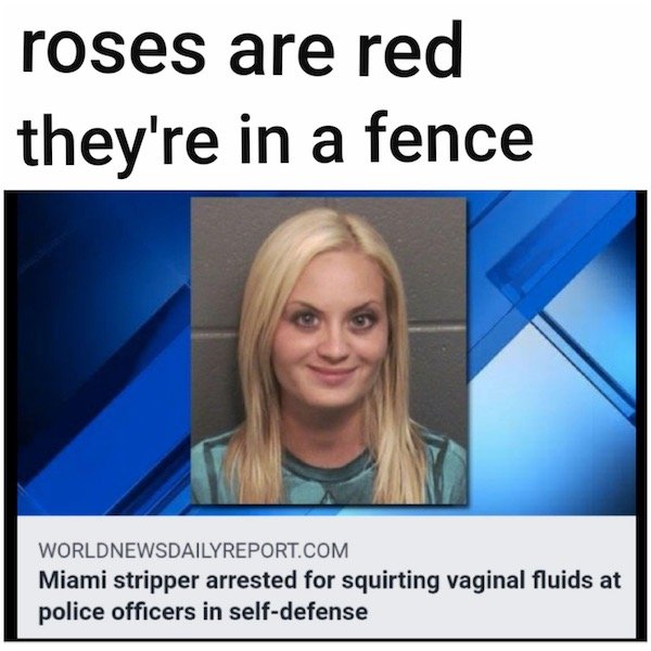 Dirty Humor (35 pics)