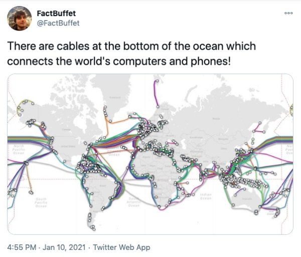 Interesting Facts (26 pics)