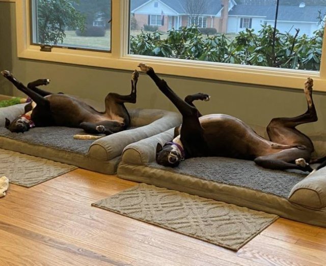 Matrix Malfunction (20 pics) Matrix Malfunction (20 pics)