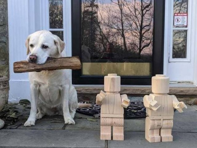 Woodworking Masterpieces (21 pics)