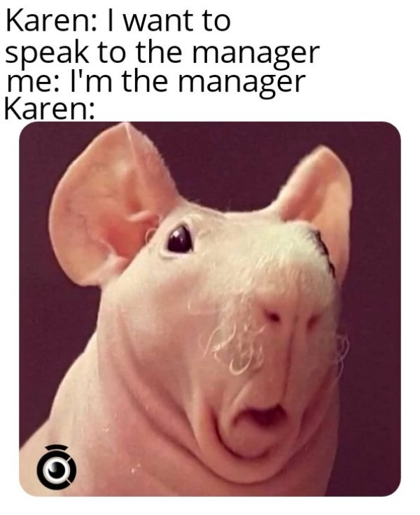 Karen Memes And Tweets (30 pics)