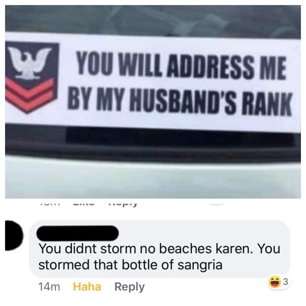 Karen Memes And Tweets (30 pics)