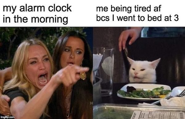 Memes And Tweets For Tired People (30 pics)