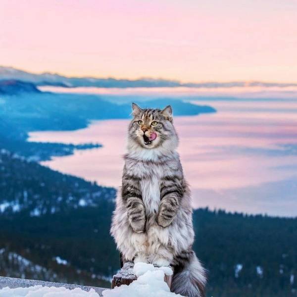 Acid Picdump 1 (53 pics)