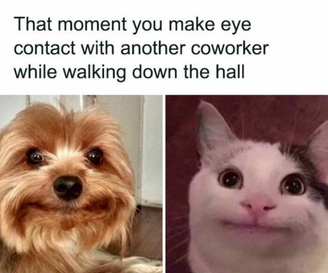 Office Memes And Tweets (43 pics)