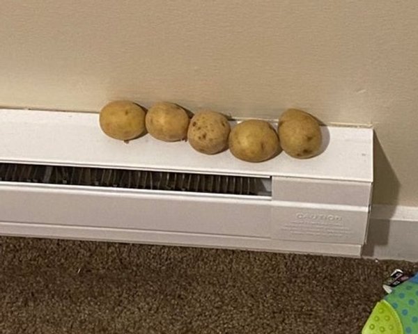 Living With Children (19 pics)