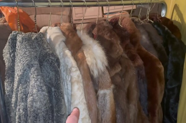 Estate Sale: Man Hits Jackpot With $400k Worth Of Goods Found There (14 pics)