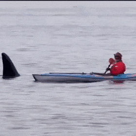 Acid Gifdump, February 10 (25 gifs)