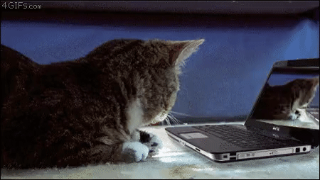 Acid Gifdump, February 10 (25 gifs)