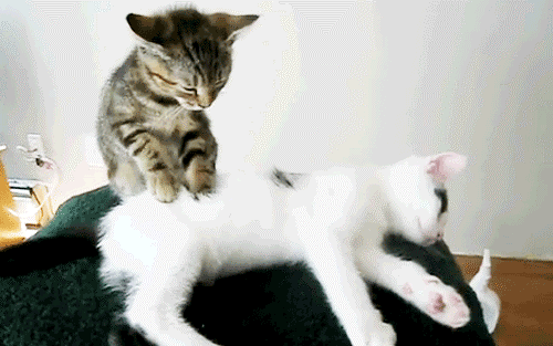 Acid Gifdump, February 10 (25 gifs)