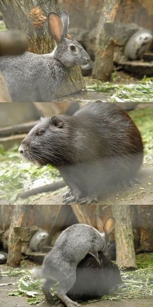 Acid Picdump 1 (94 pics)