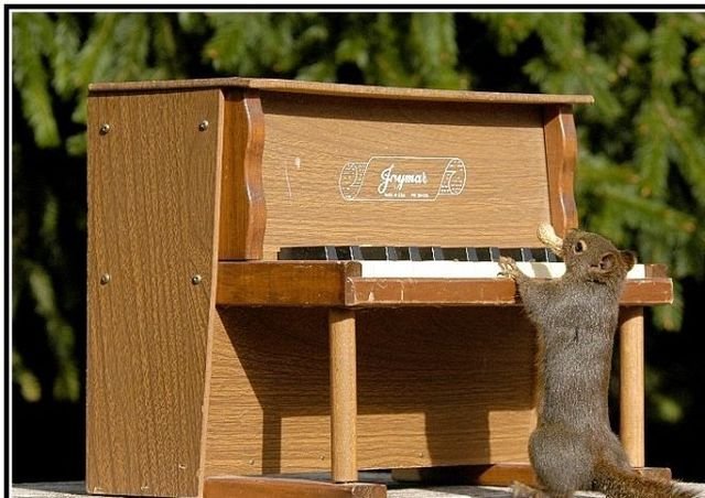 Acid Picdump 1 (94 pics)