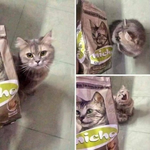 Acid Picdump 1 (94 pics)