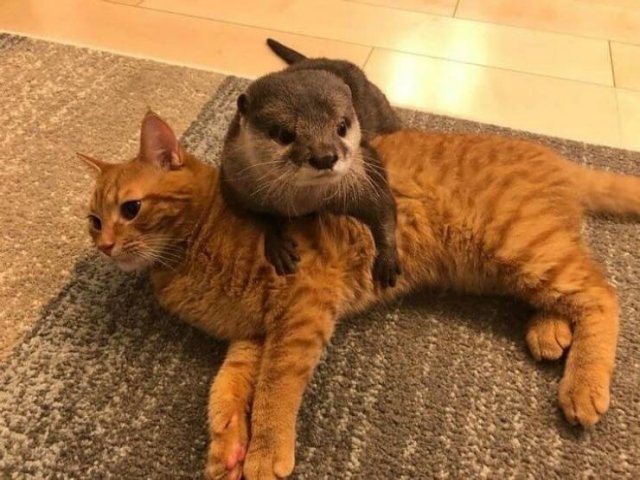Acid Picdump 1 (94 pics)