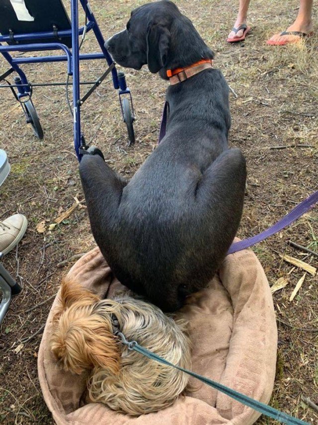 Comparison Matters (21 pics) Comparison Matters (21 pics)
