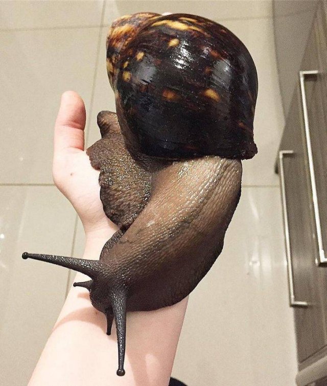 Comparison Matters (21 pics) Comparison Matters (21 pics)