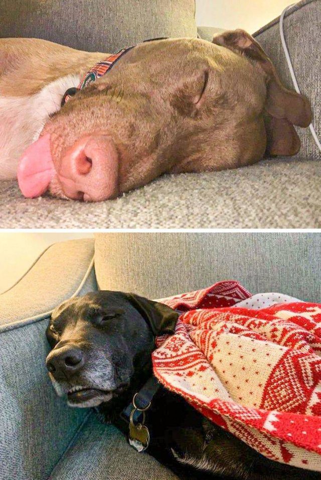 Living With Children (24 pics)