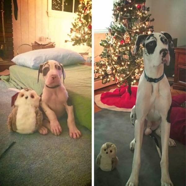 Comparison Matters (21 pics) Comparison Matters (21 pics)