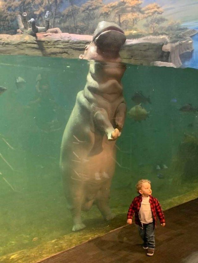 Comparison Matters (21 pics) Comparison Matters (21 pics)