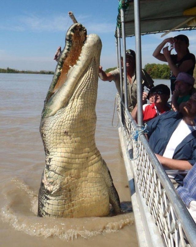Comparison Matters (21 pics) Comparison Matters (21 pics)