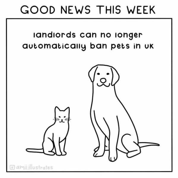 Good News Illustrations (19 pics)