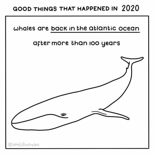 Good News Illustrations (19 pics)