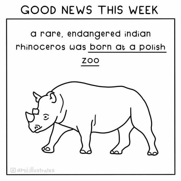 Good News Illustrations (19 pics)
