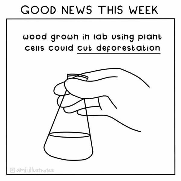 Good News Illustrations (19 pics)